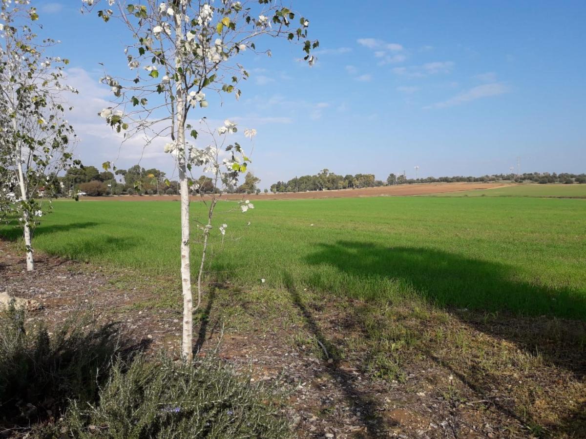 kibbutz hatzor A room close to Ashdod Hatzor Ashdod Kültér fotó